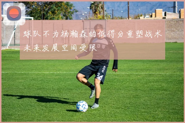 球队不为杨瀚森的低得分重塑战术未来发展空间受限