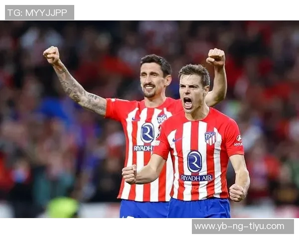 前意甲裁判解析国米点球判罚与帕夫洛维奇黄牌的合理性